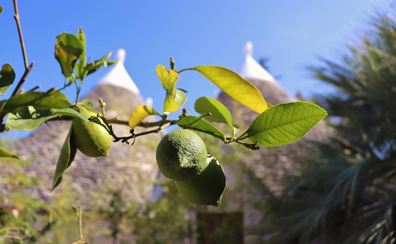 Antonelli Trulli And Nature מראה חיצוני תמונה