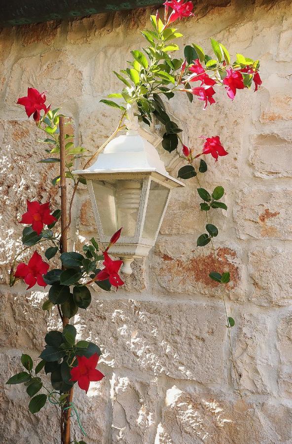Antonelli Trulli And Nature מראה חיצוני תמונה