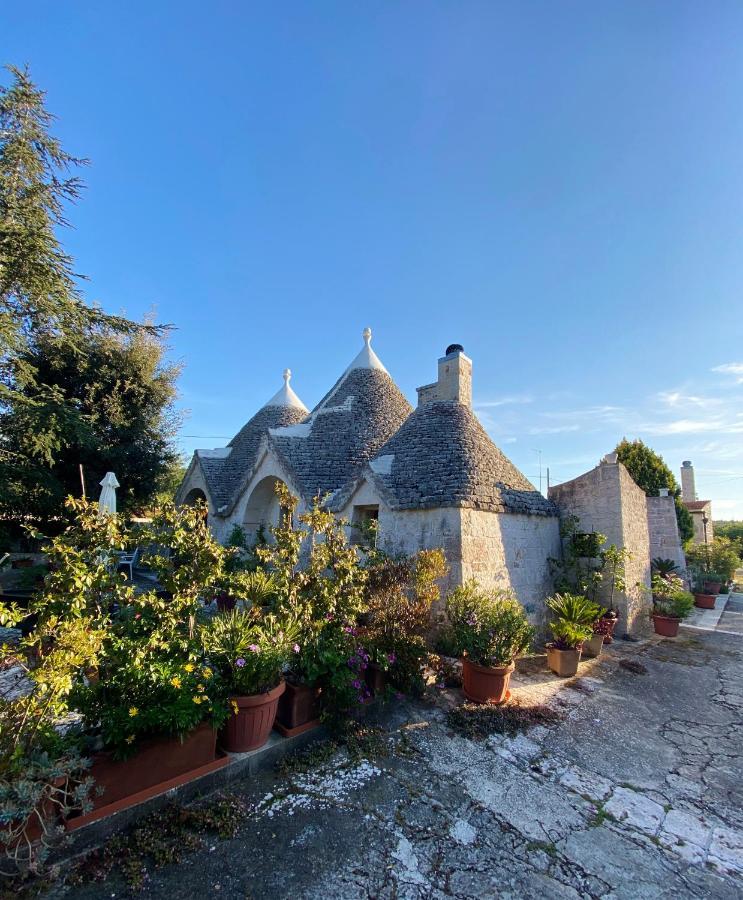 Antonelli Trulli And Nature מראה חיצוני תמונה