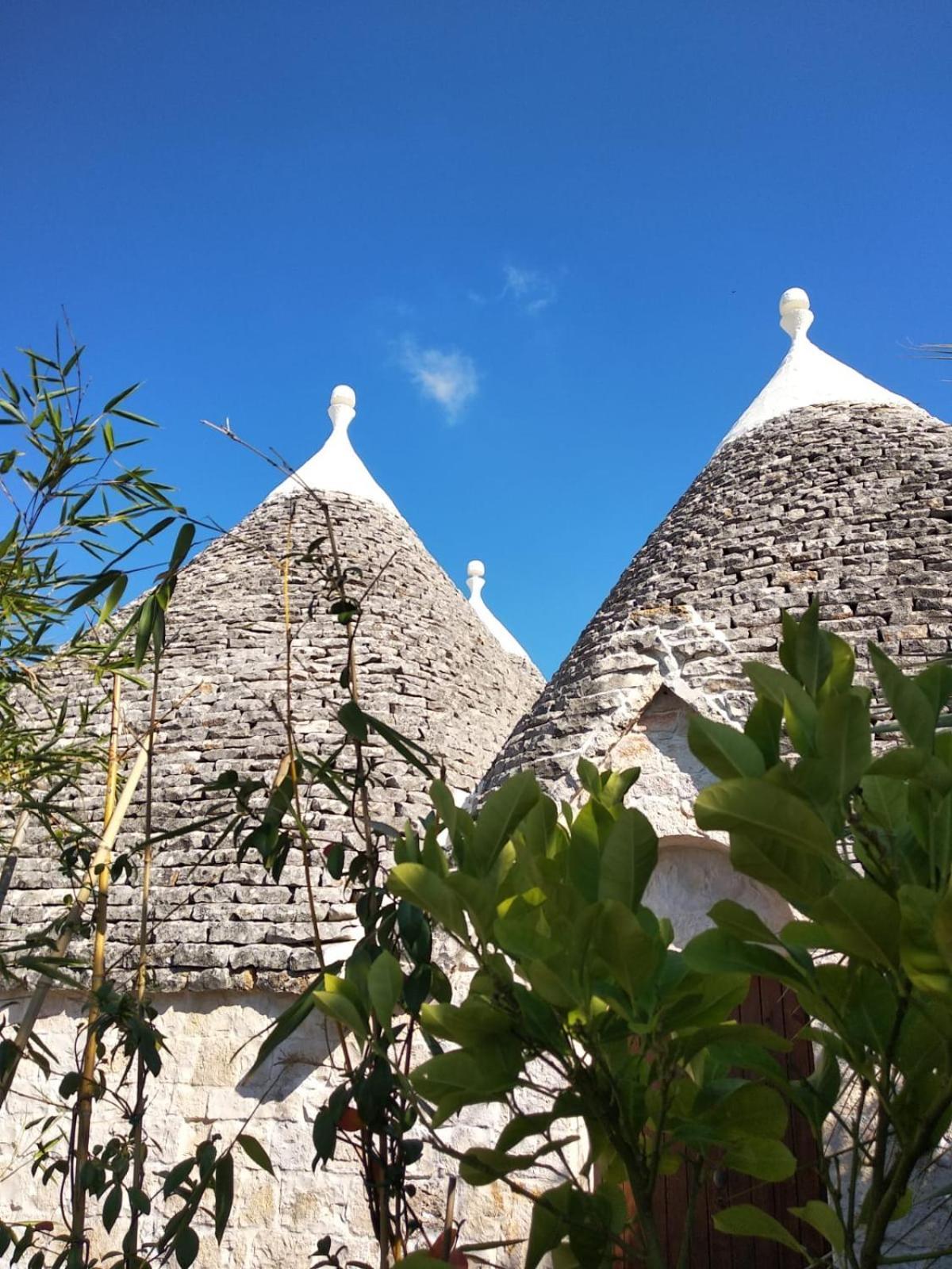 Antonelli Trulli And Nature מראה חיצוני תמונה