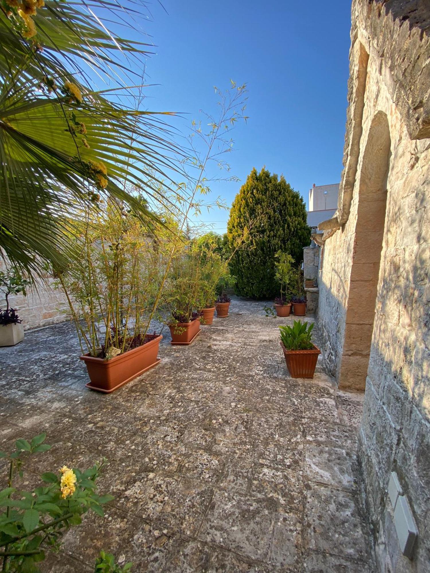 Antonelli Trulli And Nature חדר תמונה