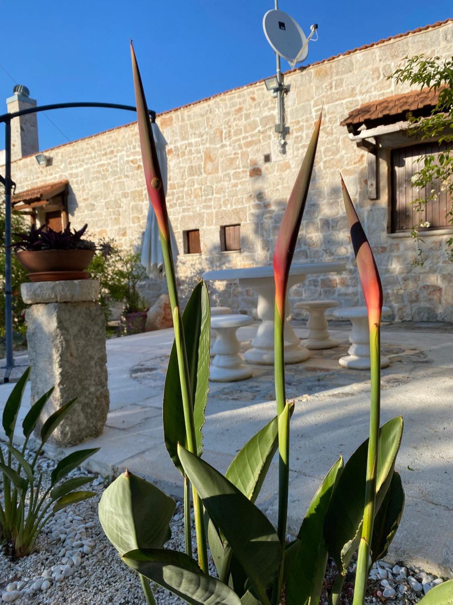 Antonelli Trulli And Nature חדר תמונה