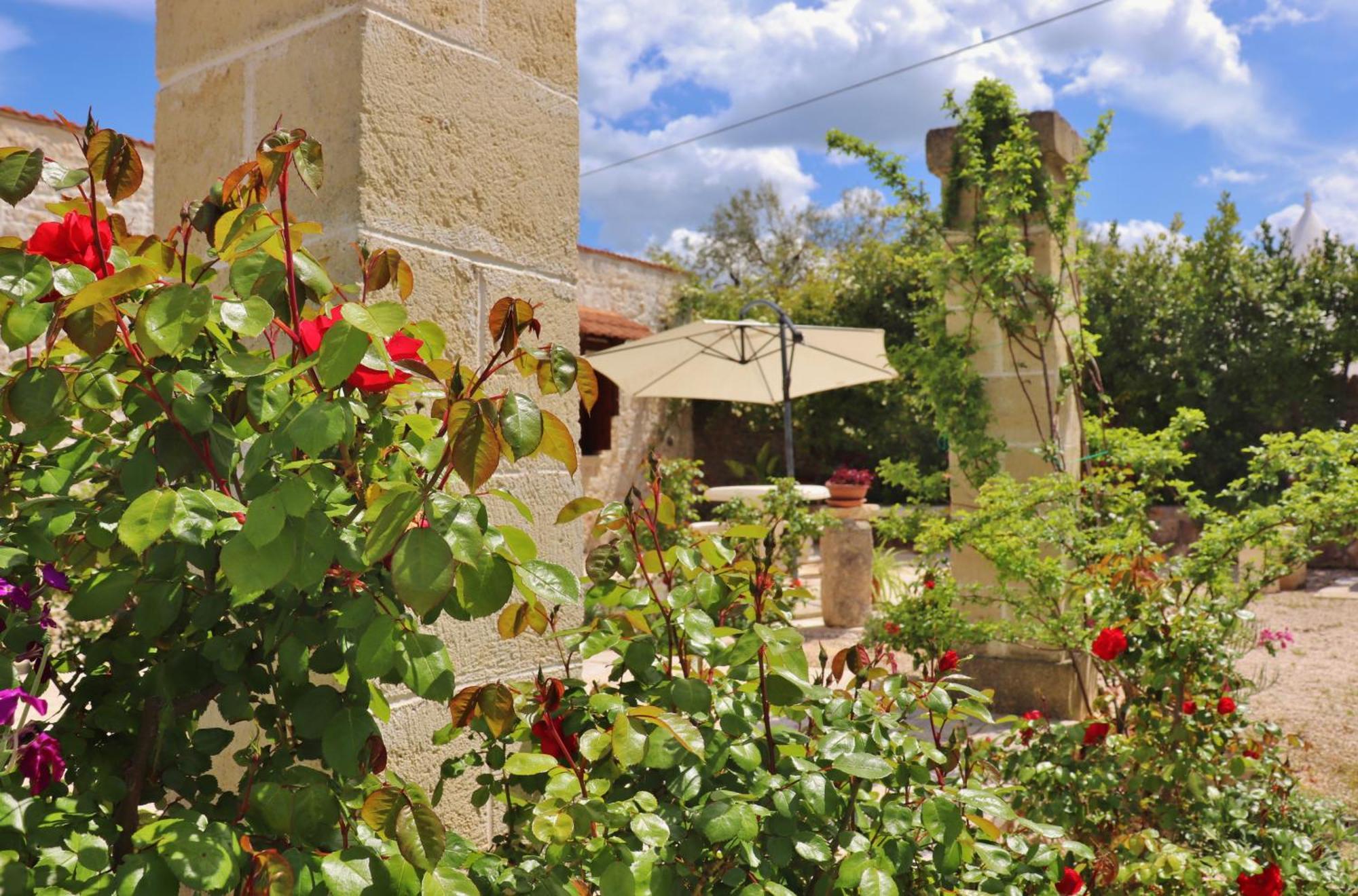 Antonelli Trulli And Nature חדר תמונה