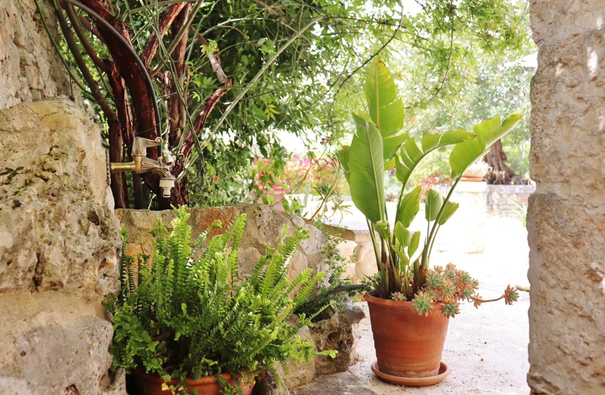 Antonelli Trulli And Nature חדר תמונה
