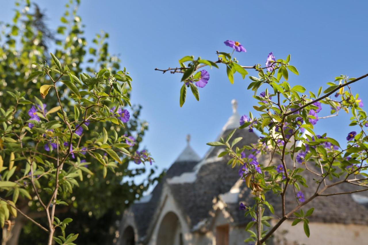 Antonelli Trulli And Nature מראה חיצוני תמונה