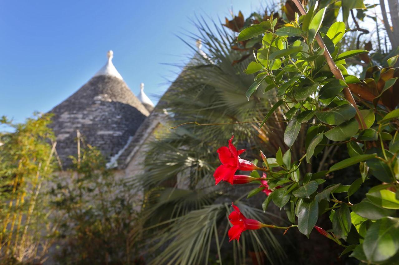 Antonelli Trulli And Nature מראה חיצוני תמונה